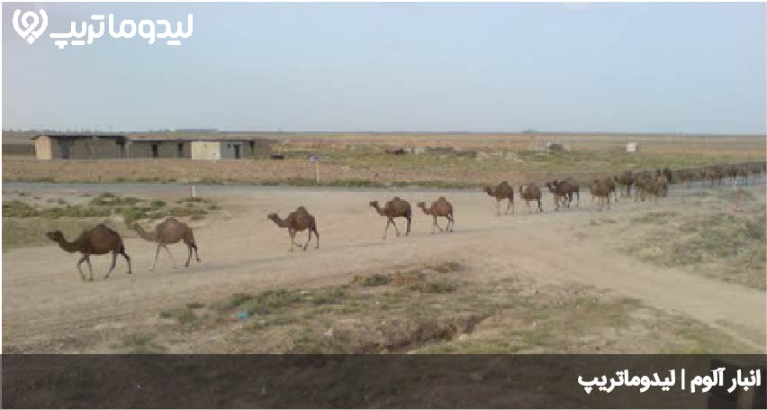 انبار آلوم