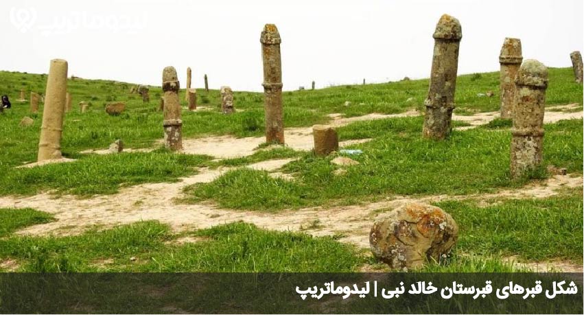 خالد نبی