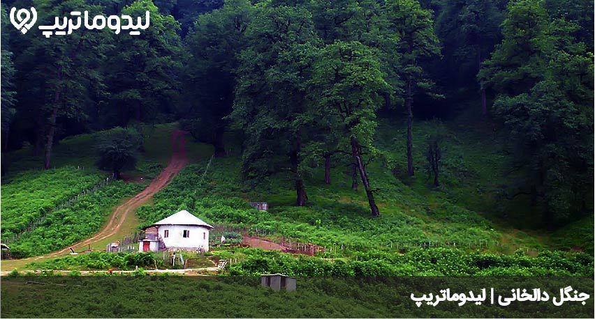 جنگل دالخانی