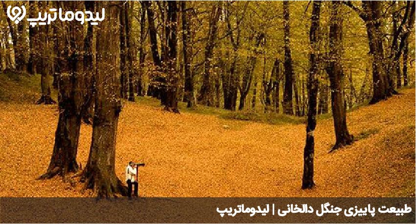 دالخانی در پاییز