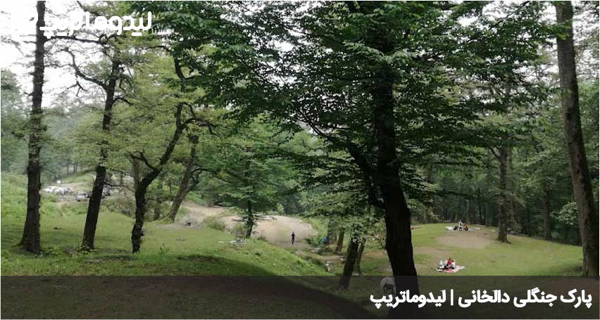 پارک جنگلی دالخانی