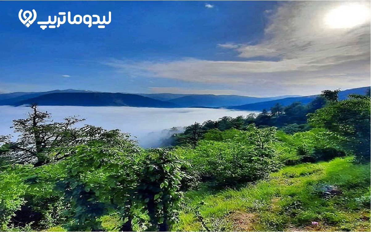 جنگل دالخانی، شگفت انگیز ترین جاذبهی رامسر