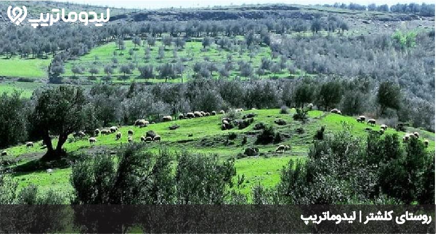 روستای کلشتر