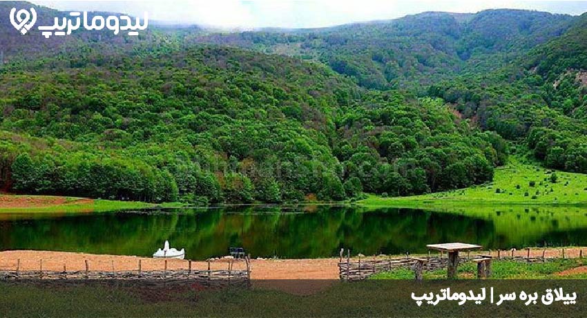 ییلاق بره سر