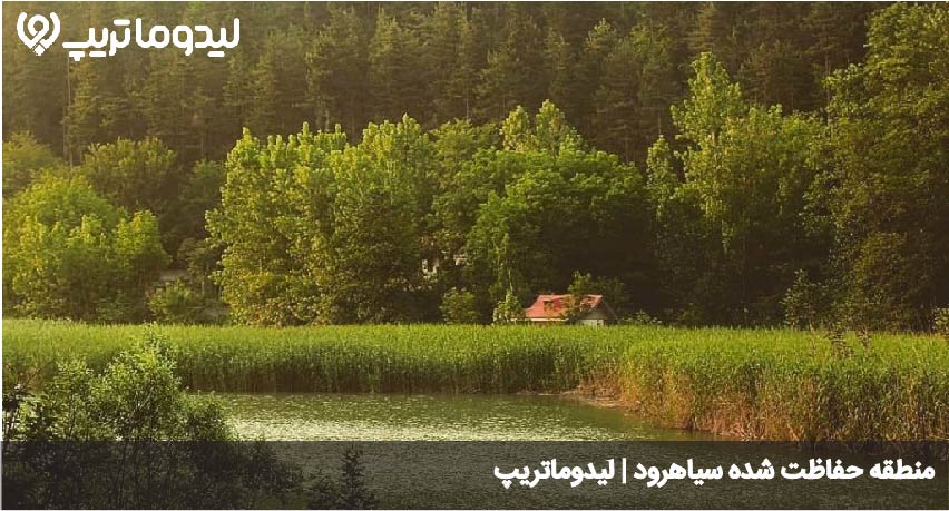 سیاهرود