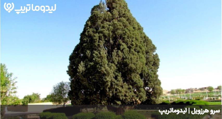 هرزویل