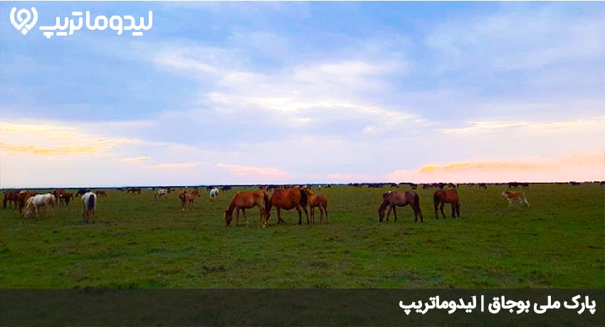 پارک ملی بوجاق