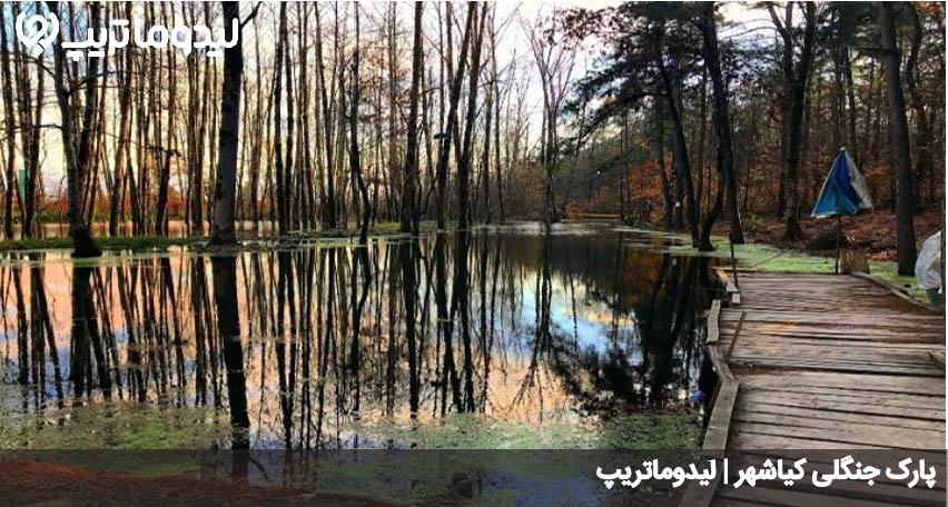 پارک جنگلی کیاشهر