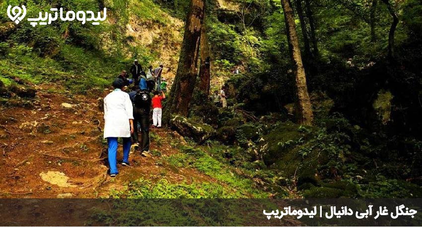 جنگل غار دانیال