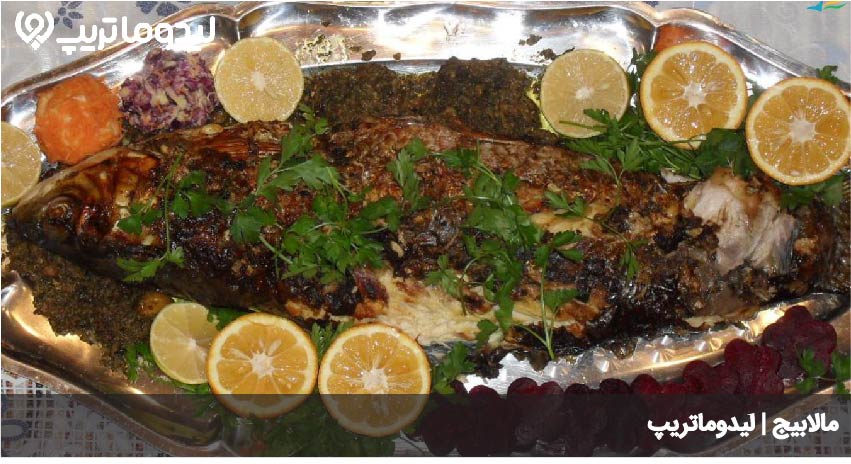 مالابیج
