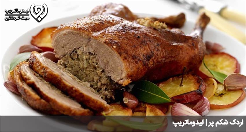 اردک شکم پر