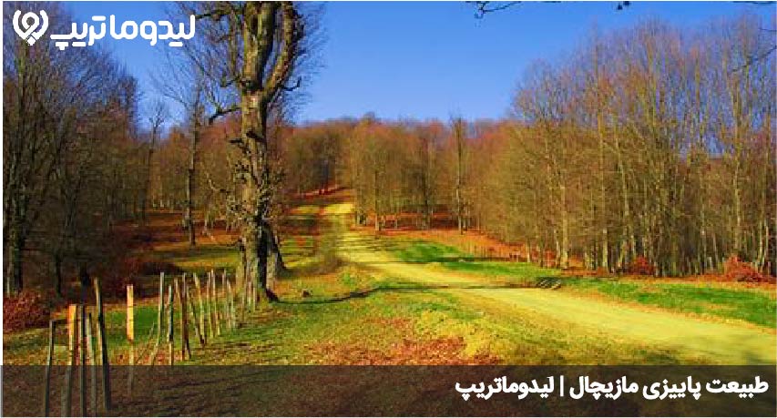 مازیچال