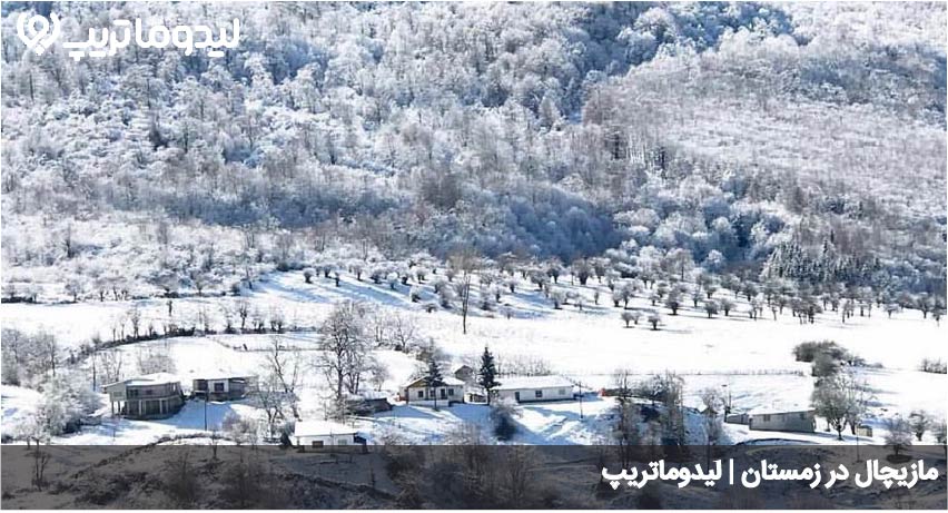 مازیچال
