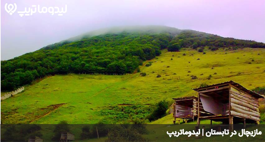 مازیچال