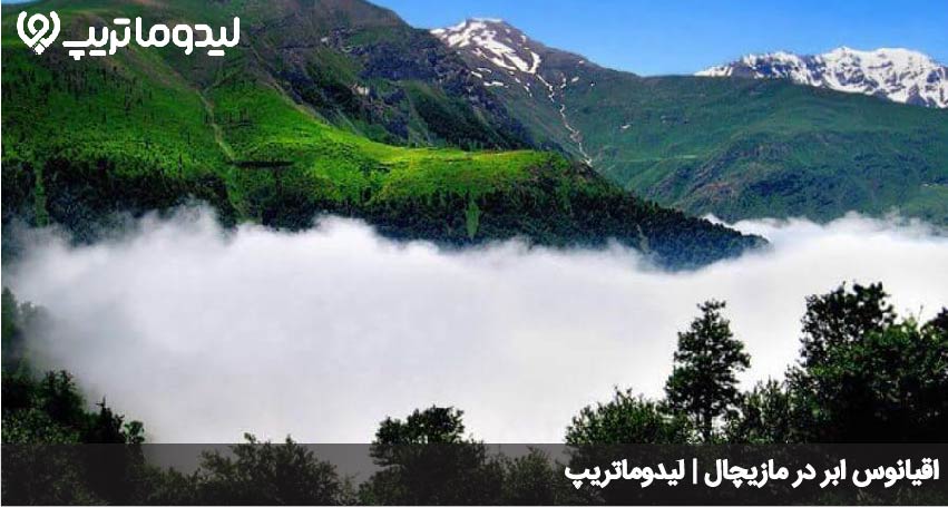 مازیچال