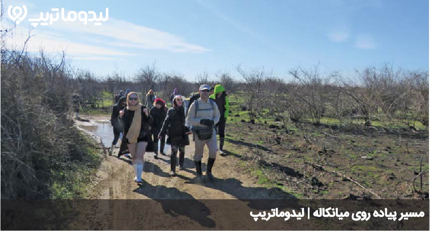میانکاله