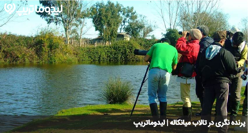 میانکاله