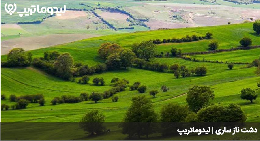 دشت ناز