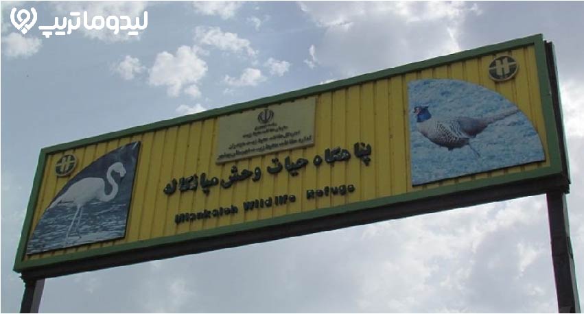 تالاب میانکاله