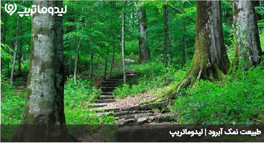 طبیعت نمک ابرود