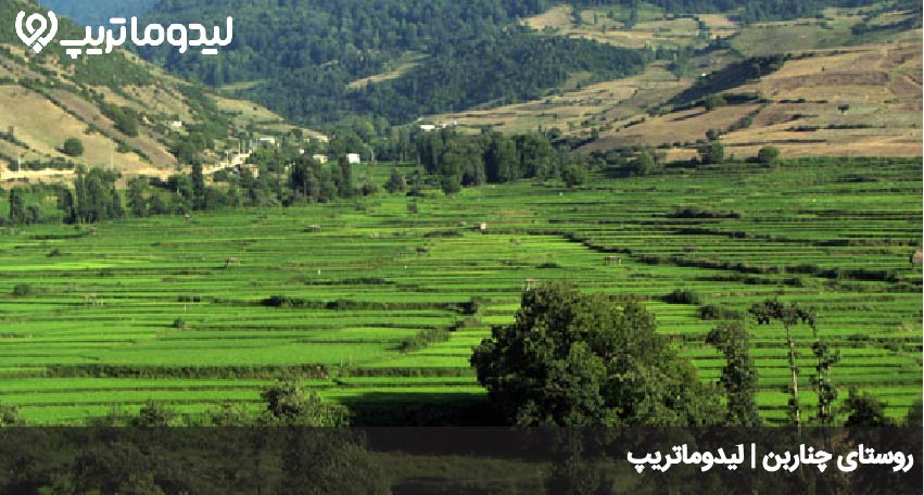 چناربن
