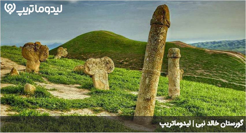 خالد نبی