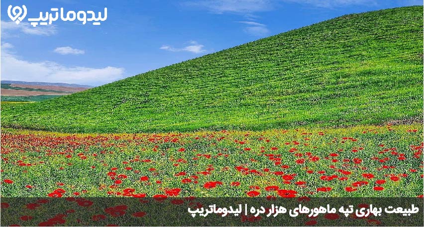 هزار دره در بهار