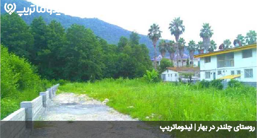 چلندر