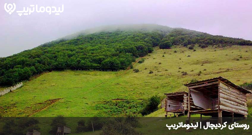 کردیچال