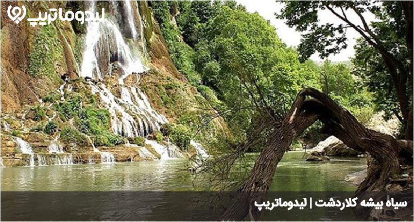 سیاه بیشه کلاردشت