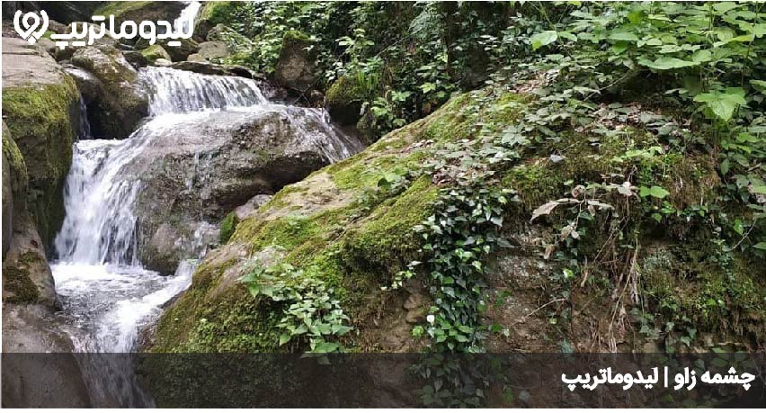 چشمه زاو