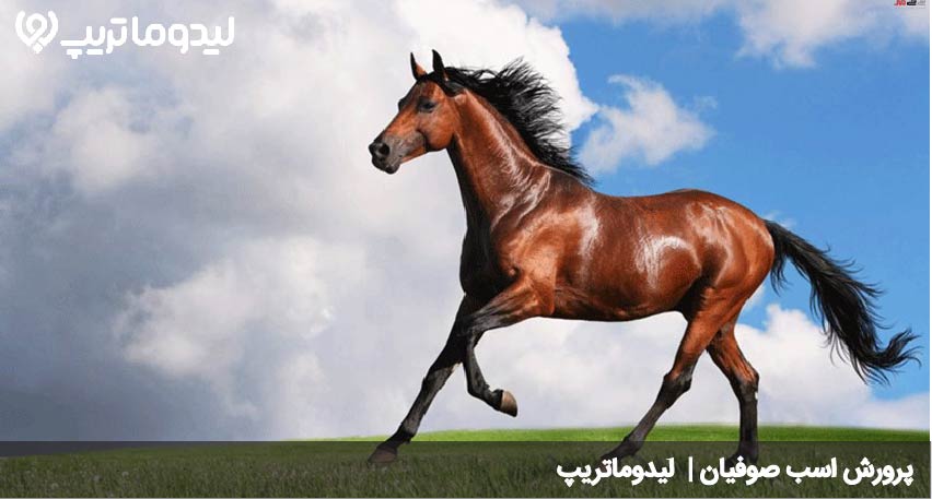 صوفیان