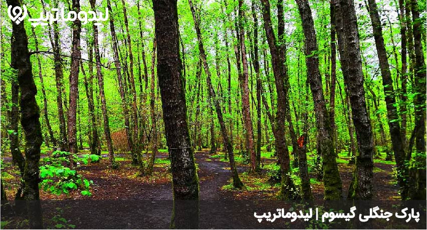 پارک جنگلی گیسوم
