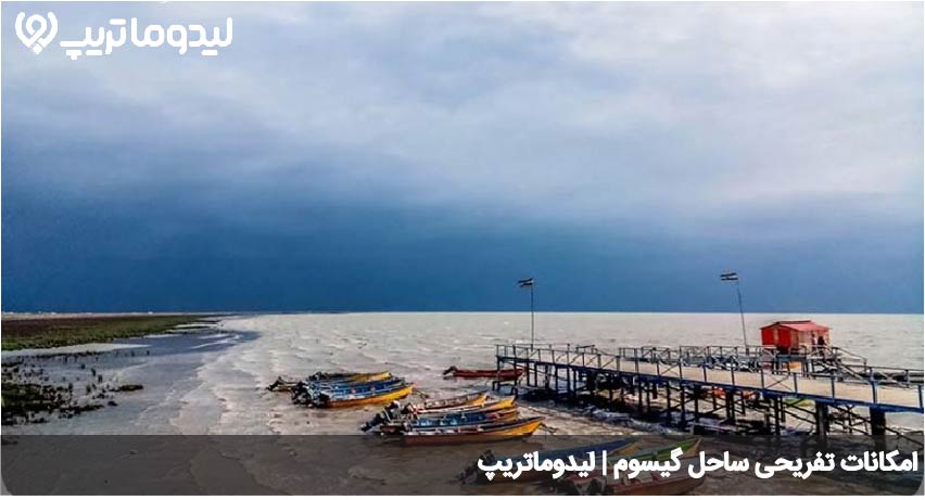 گیسوم