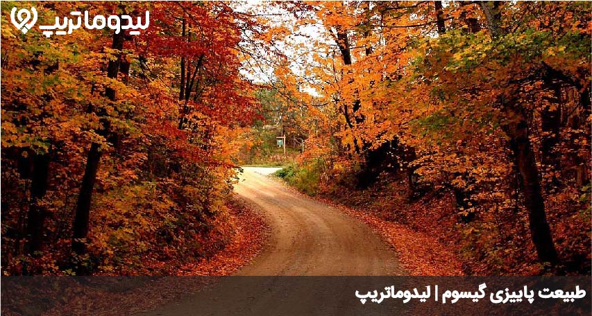 طبیعت گیسوم