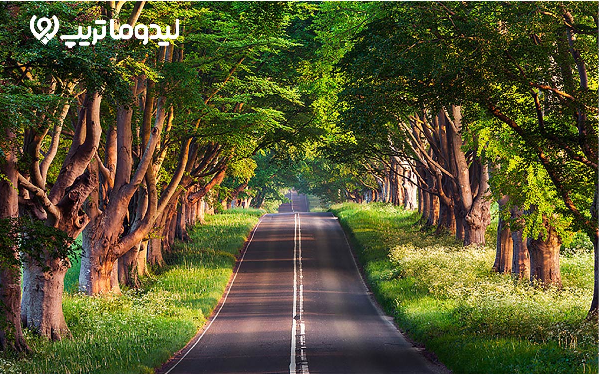 گیسوم کجاست؟ راهنمای سفر به جنگلی که به دریا می‌رسد