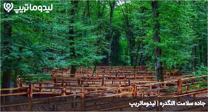 جاده سلامت