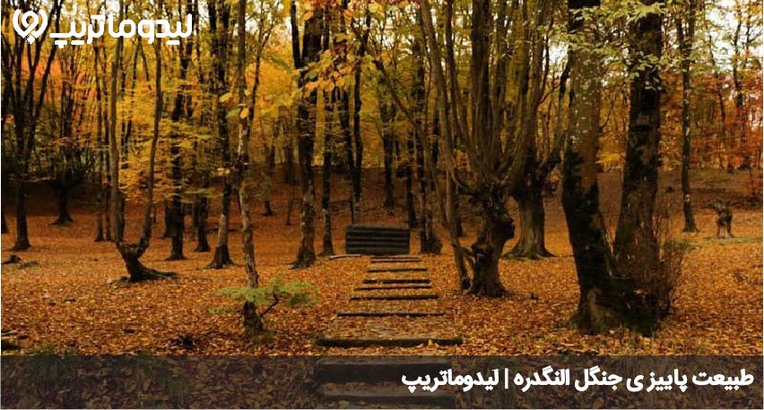 پاییز النگدره