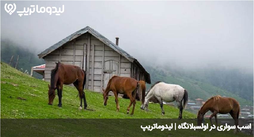 اولسبلانگاه