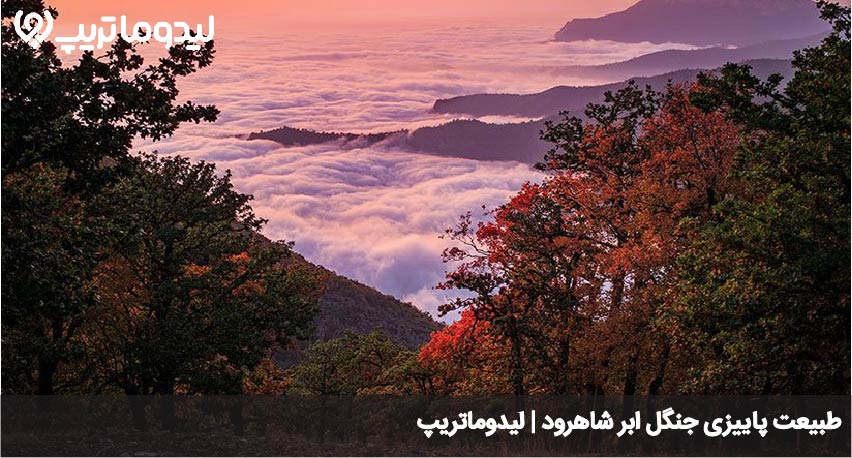 جنگل ابر در پاییز