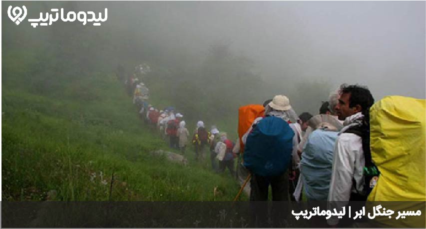 جنگل ابر