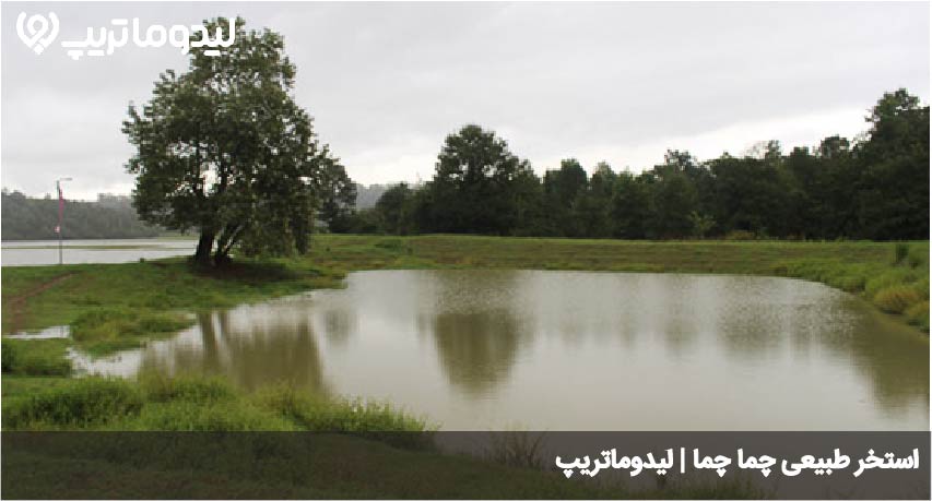 چما چما