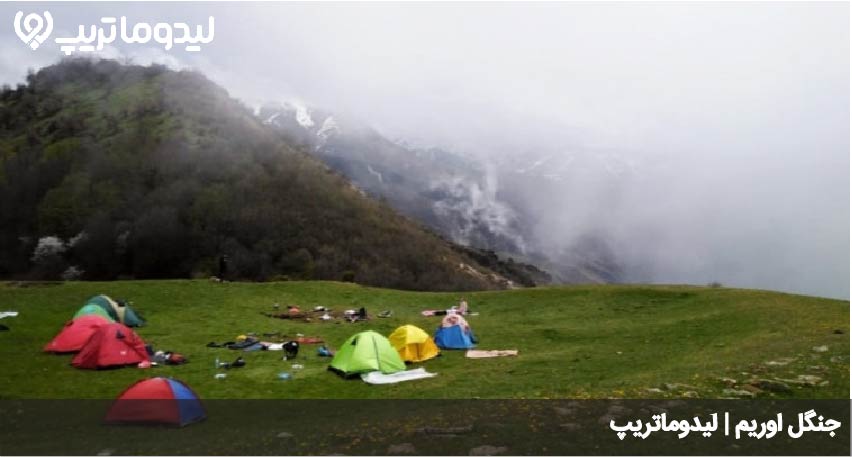 جنگل اوریم