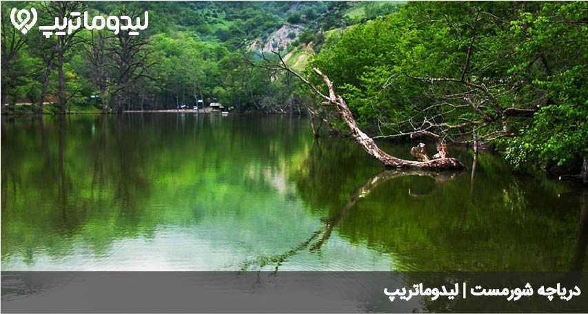 دریاچه شورمست