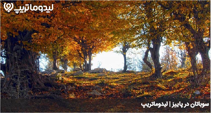 سوباتان در پاییز