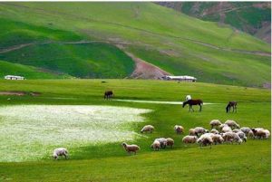 سوباتان