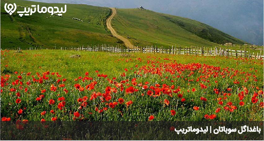 باغداگل