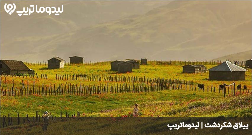 شکردشت