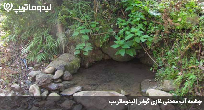 غازی گوابر