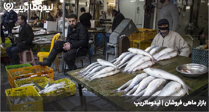 بازار ماهی فریدونکنار